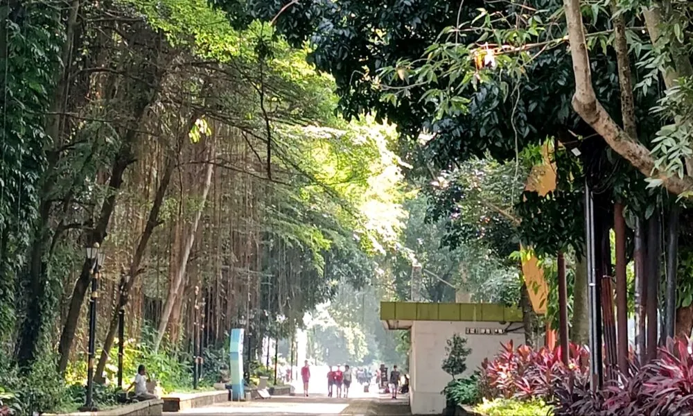 Why Cilacap Architects Are the Secret to Your Dream Home